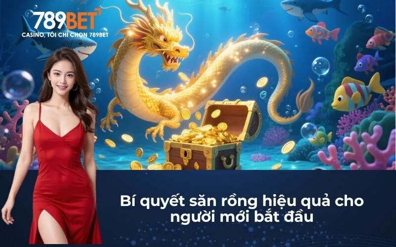 Bí quyết săn rồng hiệu quả cho người mới bắt đầu