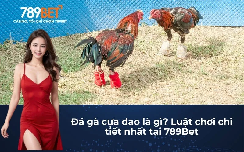 Đá gà cựa dao là gì? Luật chơi chi tiết nhất tại 789Bet