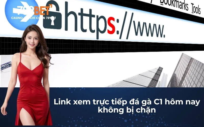 Link xem trực tiếp đá gà C1 hôm nay không bị chặn