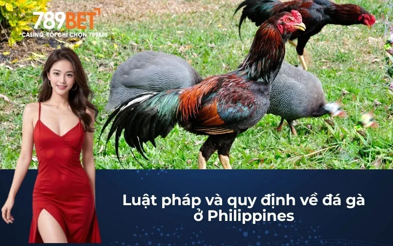 Luật pháp và quy định về đá gà ở Philippines